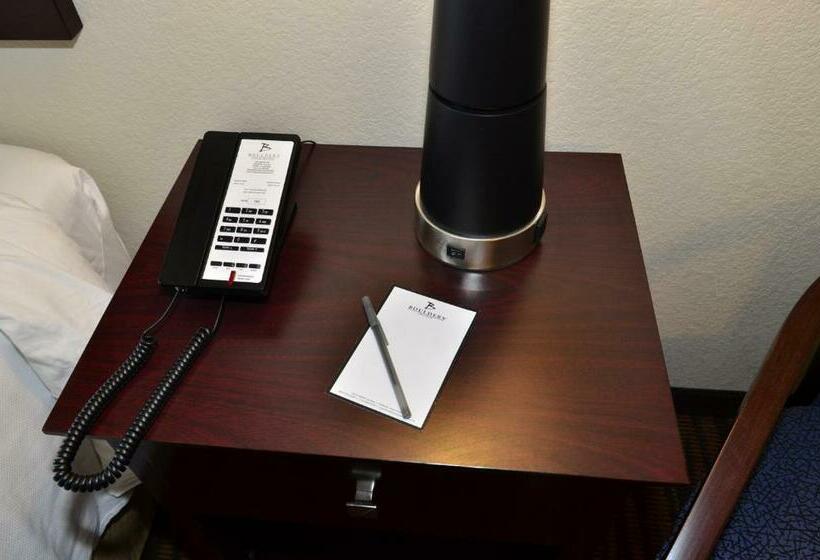 장애인을 위한 킹사이즈 침대 스탠다드 룸, Cobblestone Inn & Suites Holstein