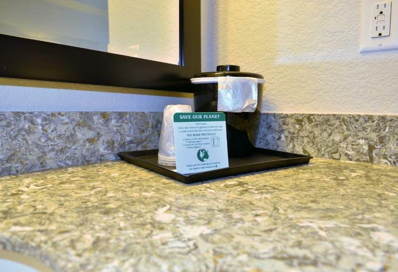 장애인을 위한 킹사이즈 침대 스탠다드 룸, Cobblestone Inn & Suites Holstein