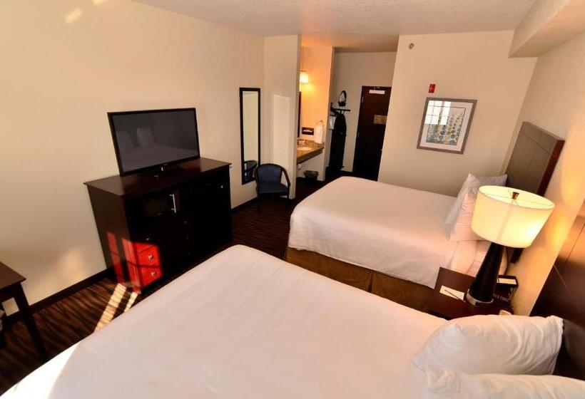 스탠다드 스튜디오, Cobblestone Inn & Suites Holstein