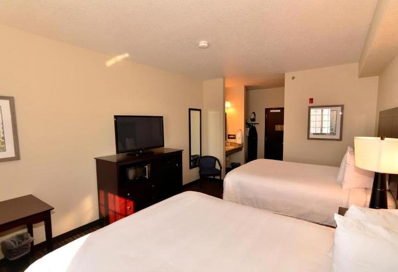 스탠다드 스튜디오, Cobblestone Inn & Suites Holstein