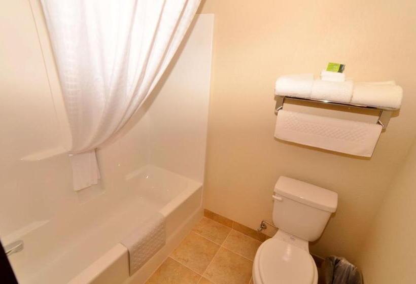 디럭스 스위트 킹 침대, Cobblestone Inn & Suites Holstein