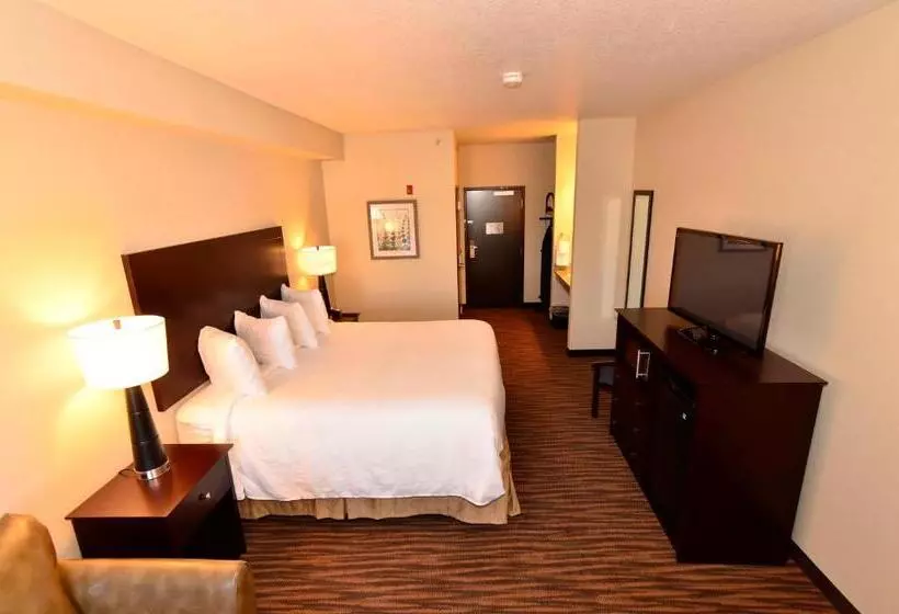 デラックススタジオ, Cobblestone Inn & Suites  Holstein