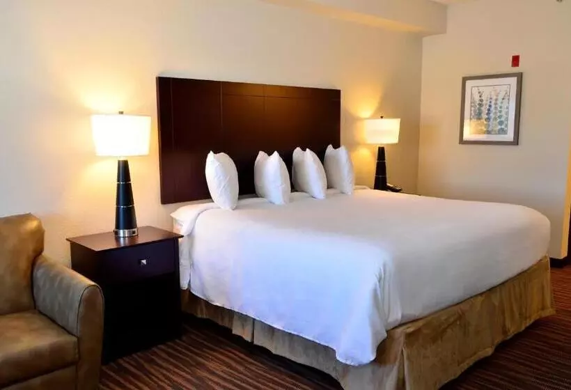 デラックススタジオ, Cobblestone Inn & Suites  Holstein