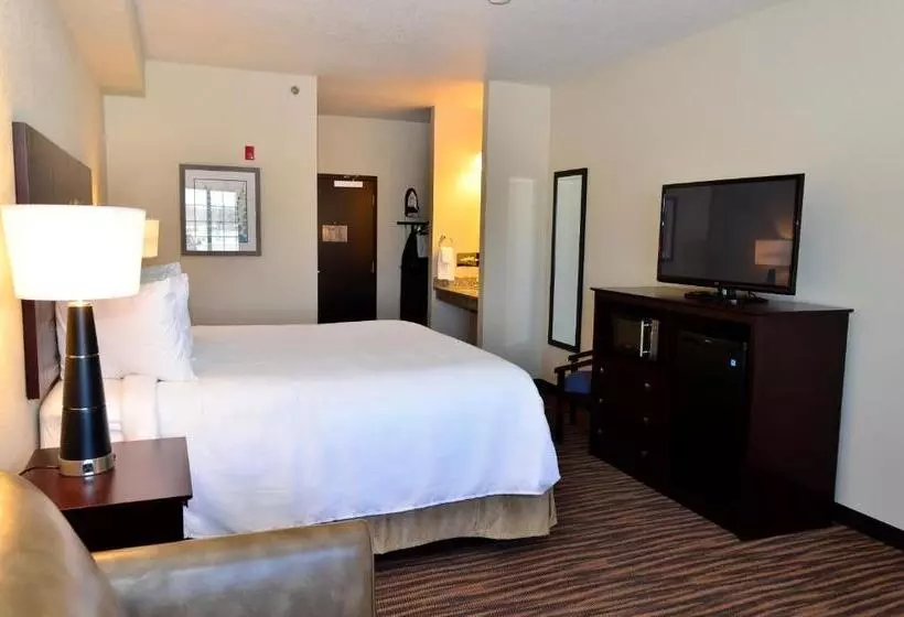 デラックススタジオ, Cobblestone Inn & Suites  Holstein