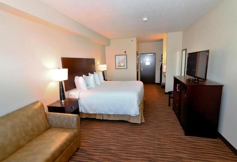 디럭스 스튜디오, Cobblestone Inn & Suites Holstein