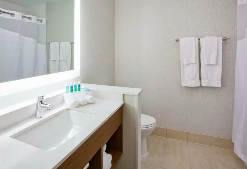 スイート, Holiday Inn Express And Suites Des Moines Downtown, An Ihg