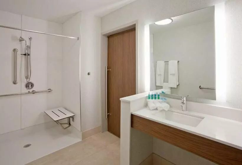 身障者適用キングサイズベッドルーム, Holiday Inn Express And Suites Des Moines Downtown, An Ihg
