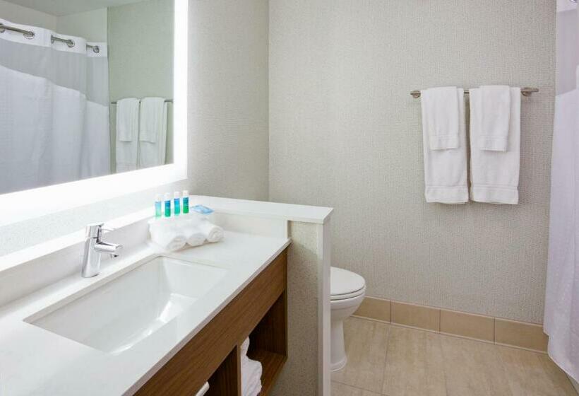 스탠다드 룸 킹사이즈 침대, Holiday Inn Express And Suites Des Moines Downtown, An Ihg