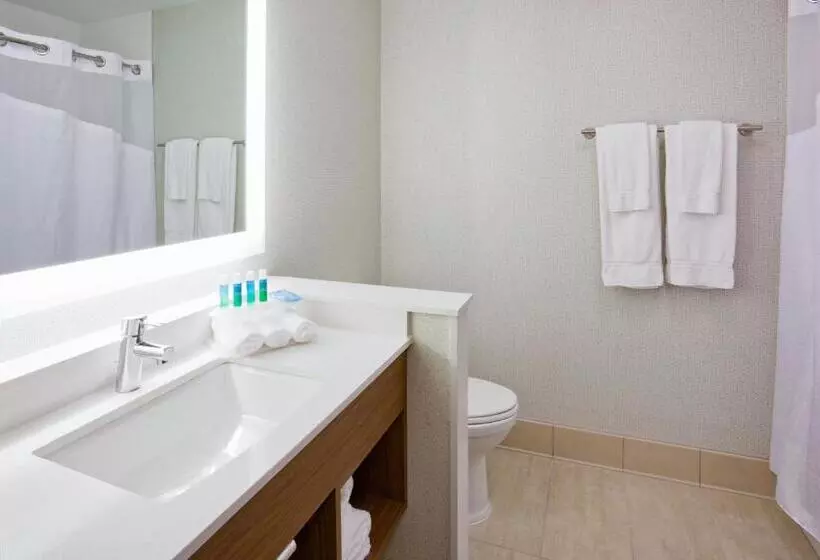 キングサイズベッドのスイートルーム, Holiday Inn Express And Suites Des Moines Downtown, An Ihg