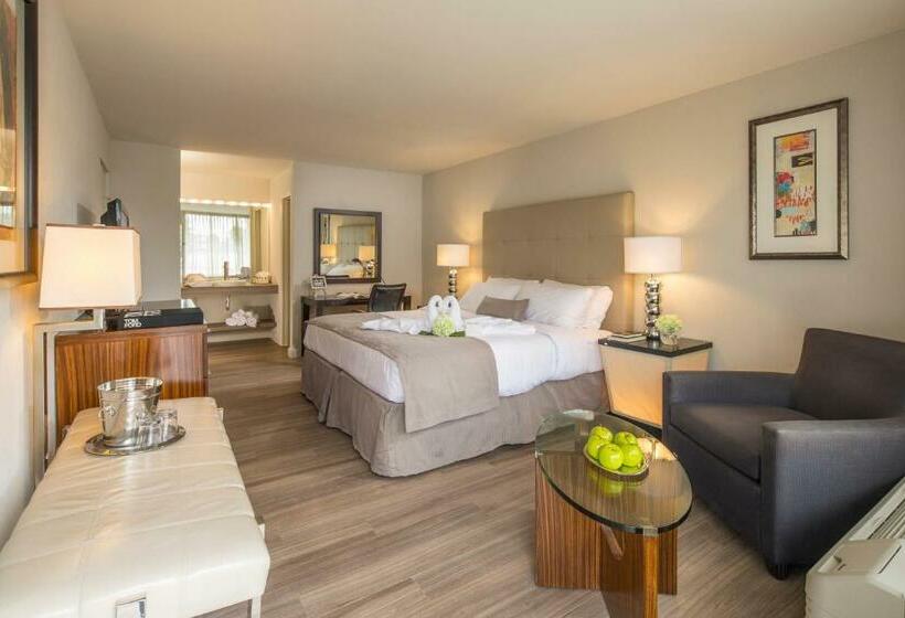 스탠다드 룸 킹사이즈 침대, Magic Moment Resort And Kids Club