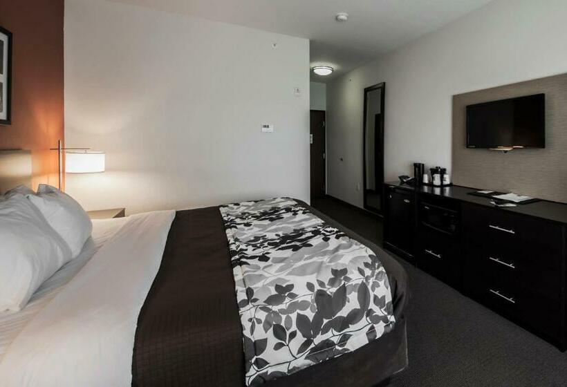 غرفة قياسية سرير كينج, Sleep Inn & Suites Hennessey North