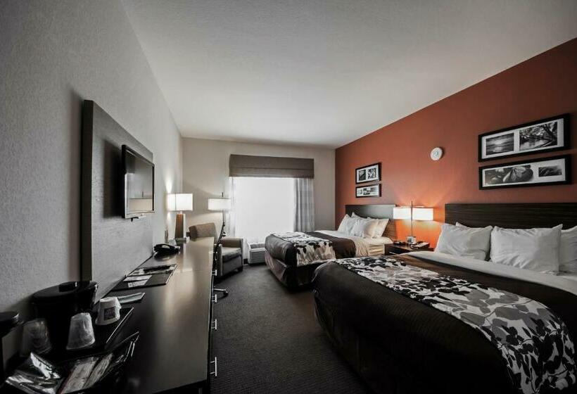 غرفة قياسية, Sleep Inn & Suites Hennessey North