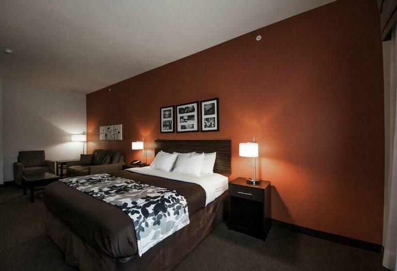 Стандартный Номер Кровать Кинг, Sleep Inn & Suites Hennessey North