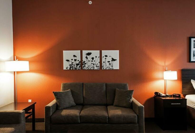 جناح سرير كينج, Sleep Inn & Suites Hennessey North