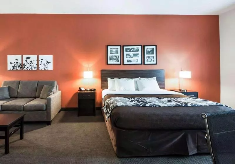 Sviitti Liikuntarajoitteisille, Sleep Inn & Suites Hennessey North