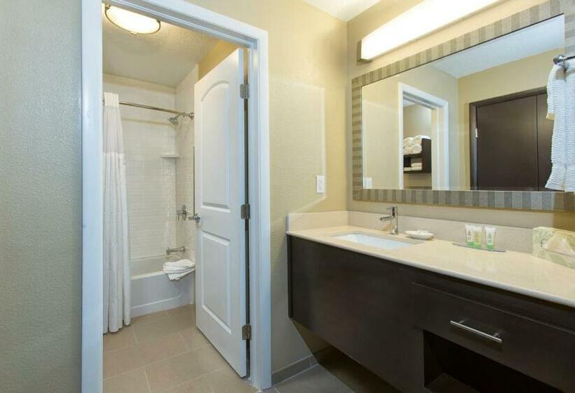 带大床的标准工作室, Staybridge Suites Orlando At Seaworld, An Ihg