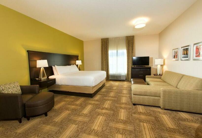 带大床的标准工作室, Staybridge Suites Orlando At Seaworld, An Ihg