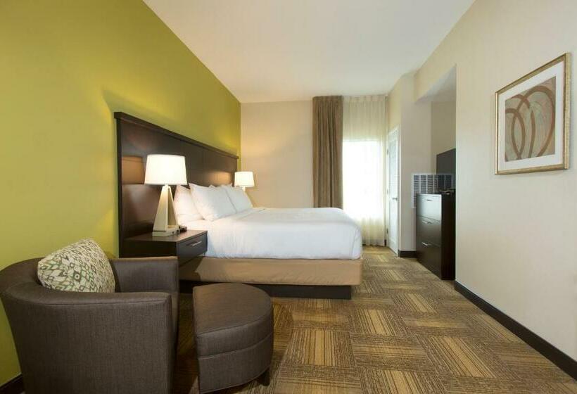 带大床的套房, Staybridge Suites Orlando At Seaworld, An Ihg