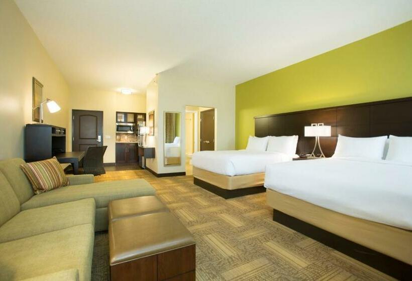 标准工作室, Staybridge Suites Orlando At Seaworld, An Ihg