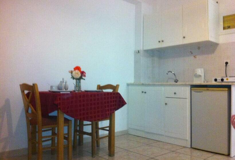 テラス付きスタンダードワンルーム, Manine Apartments