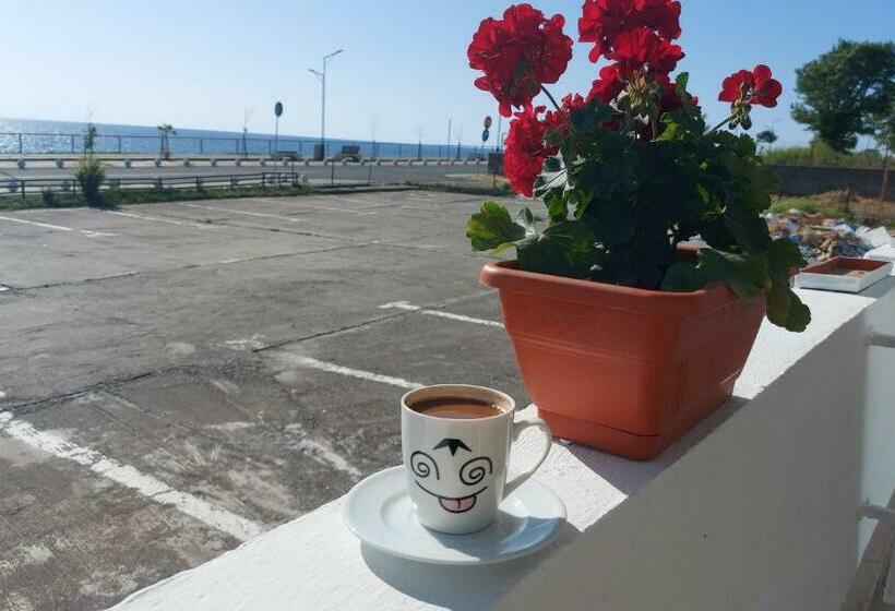 带海景的标准房, Splendid