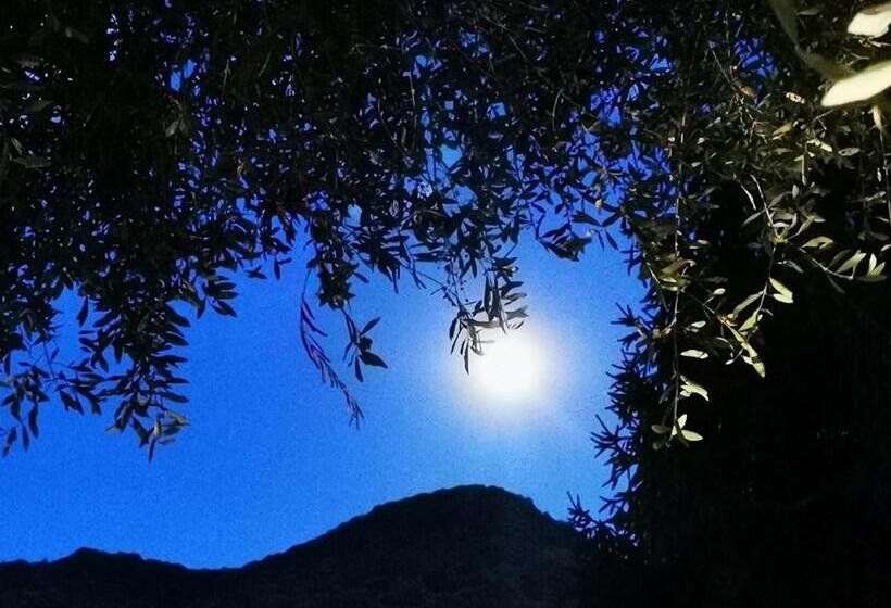 Номер Стандарт, Acquachiara Iseo Deluxe Bed & Breakfast Iseo Center With Garden And Parking Inside