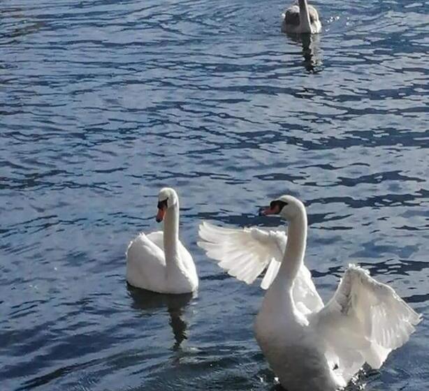 غرفة قياسية, Acquachiara Iseo Deluxe Bed & Breakfast Iseo Center With Garden And Parking Inside