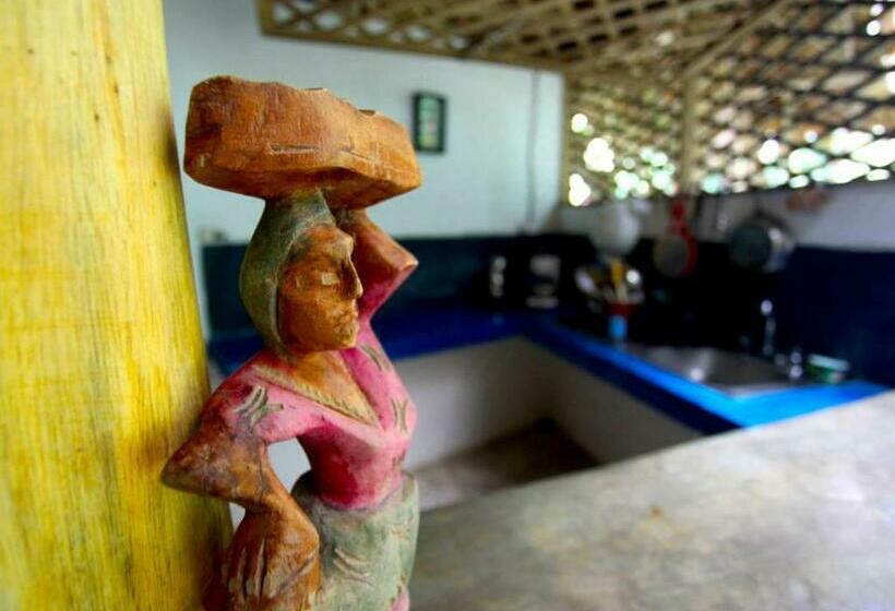 استودیوی استاندارد, Se Ua