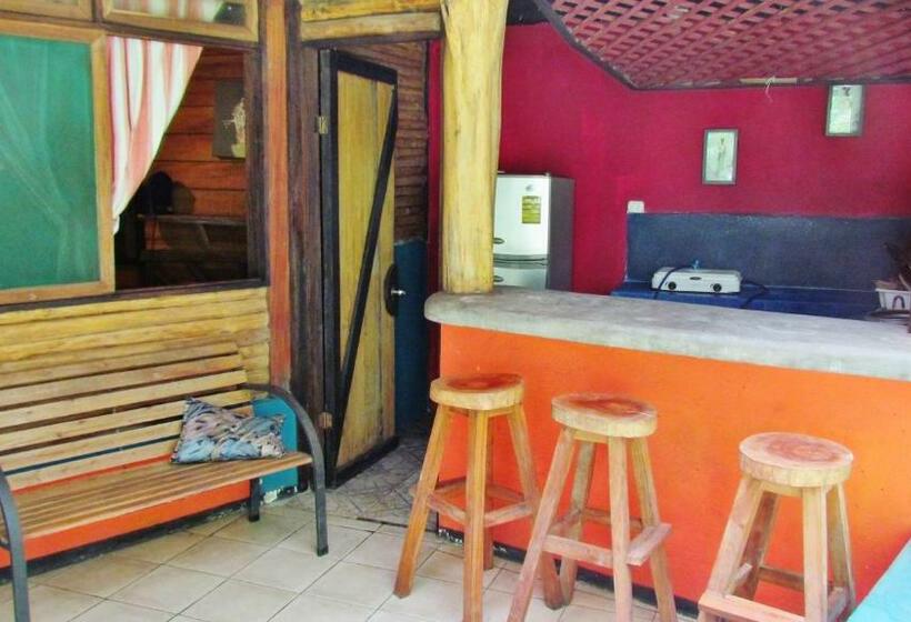 استودیوی استاندارد, Se Ua