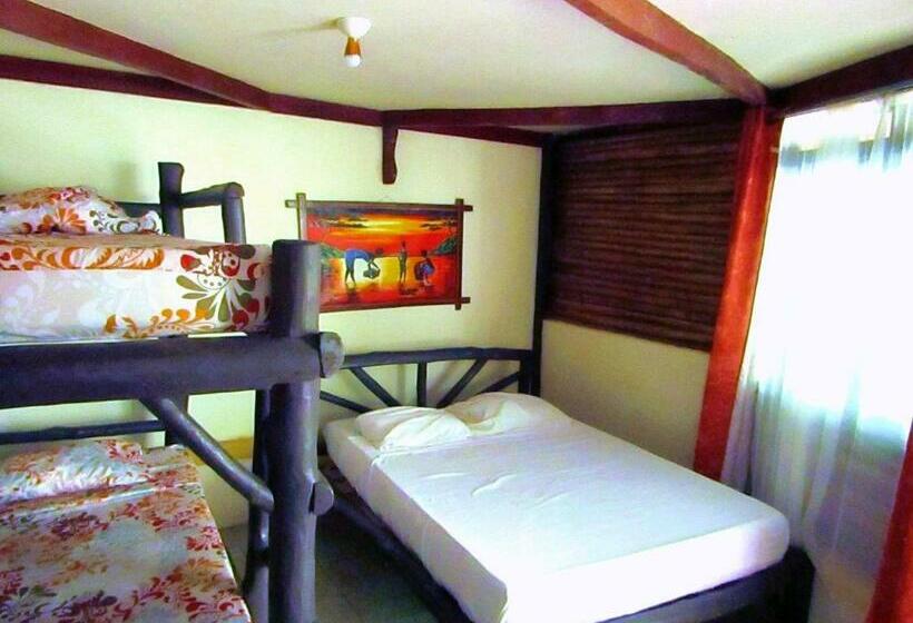 استودیوی استاندارد, Se Ua