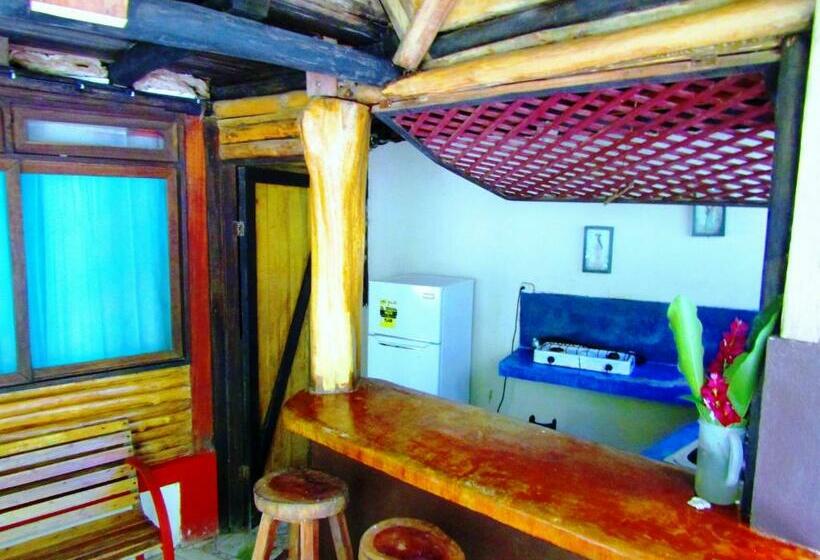 استودیوی استاندارد, Se Ua