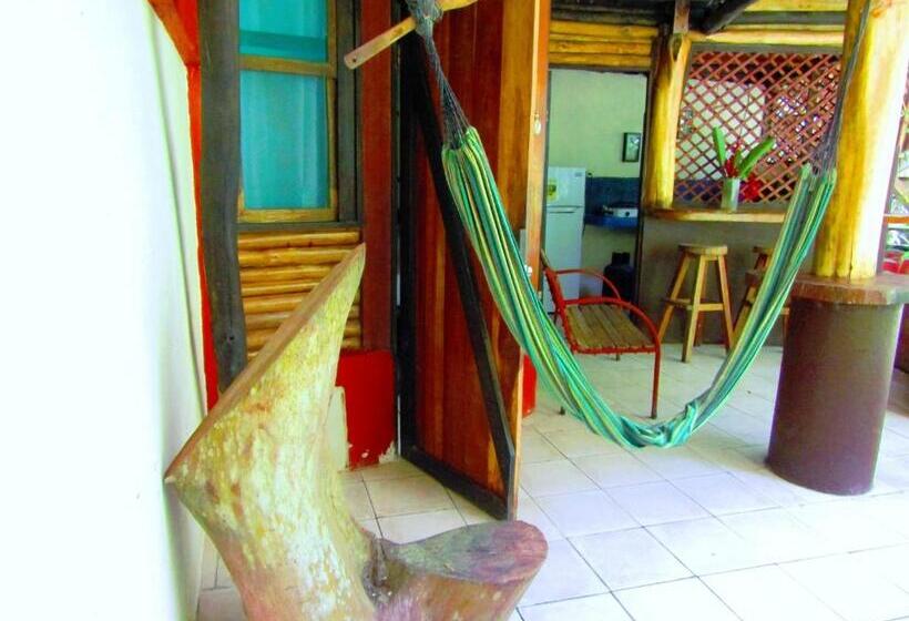 استودیوی استاندارد, Se Ua