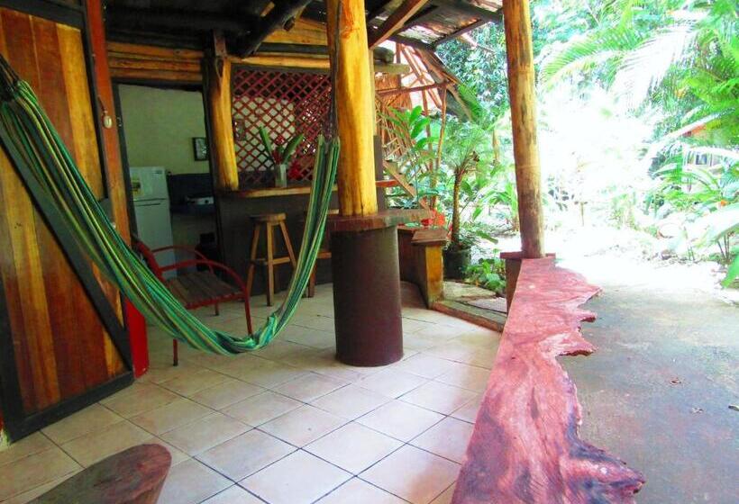 استودیوی استاندارد, Se Ua