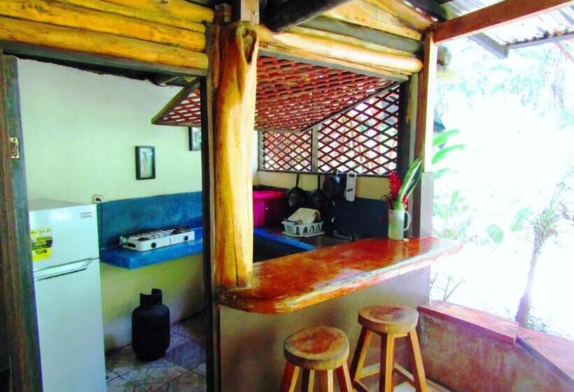 استودیوی استاندارد, Se Ua