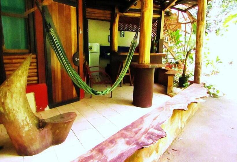 استودیوی استاندارد, Se Ua