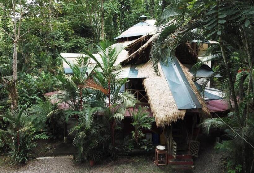 استودیوی استاندارد, Se Ua