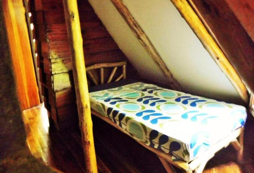 اتاق استاندارد, Se Ua