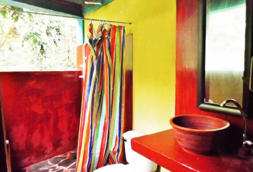 اتاق استاندارد, Se Ua