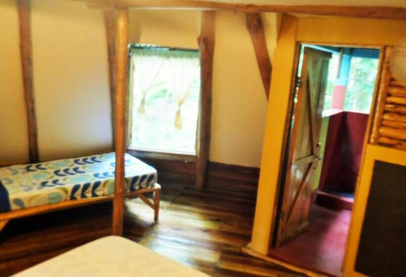 اتاق استاندارد, Se Ua