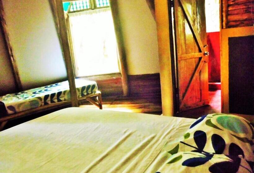 اتاق استاندارد, Se Ua