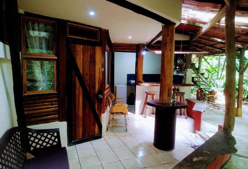 استودیوی استاندارد, Se Ua