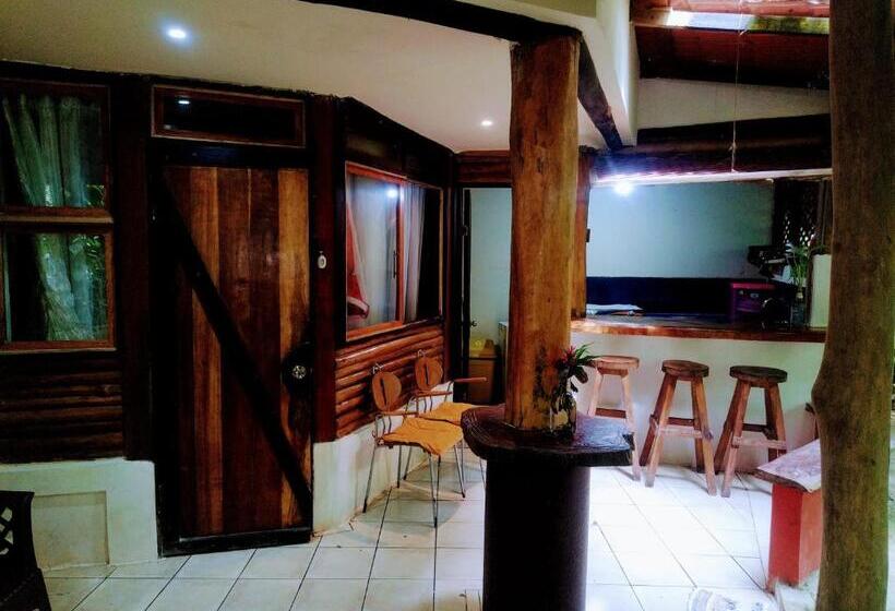 استودیوی استاندارد, Se Ua