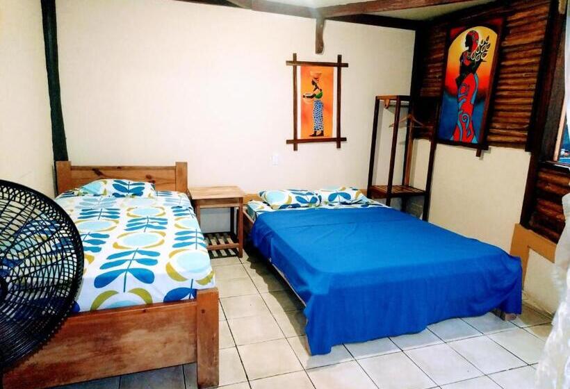 استودیوی استاندارد, Se Ua