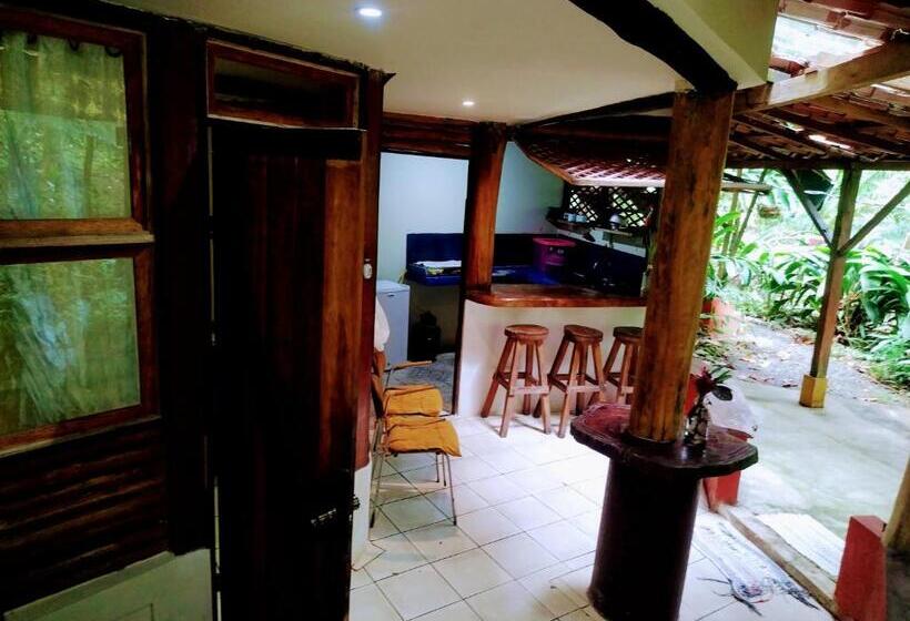 استودیوی استاندارد, Se Ua