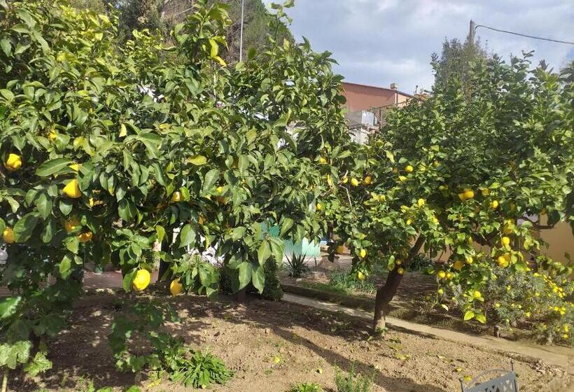 Номер Стандарт Индивидуальный, Affittacamere Antonella