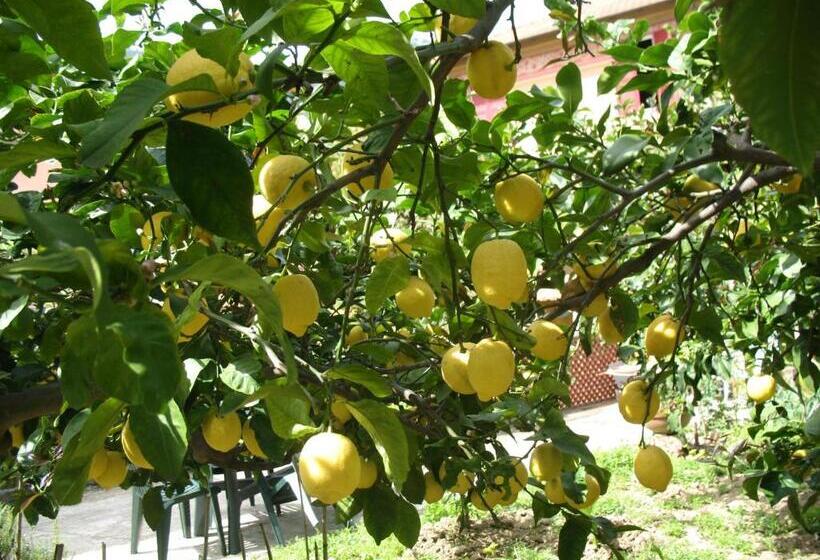 Номер Стандарт, Affittacamere Antonella