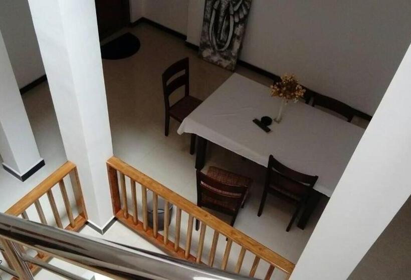 غرفة عائلية, The City Tourist