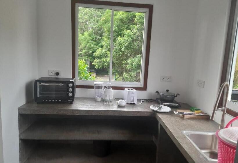 דירת חדר נוף לגינה, Paradiso