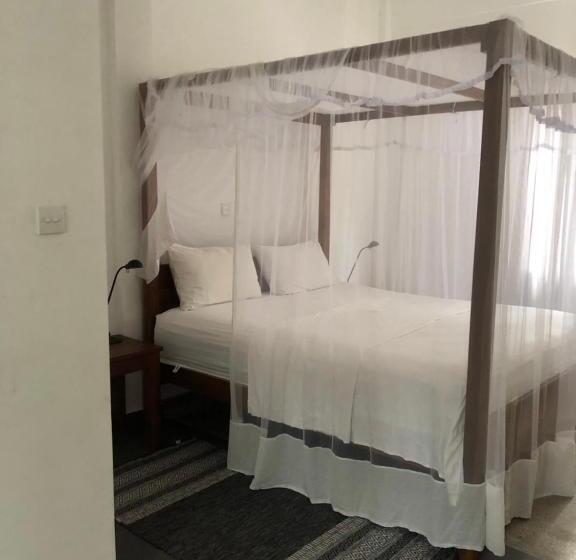 סטודיו סטנדרטי נוף לגינה, Paradiso