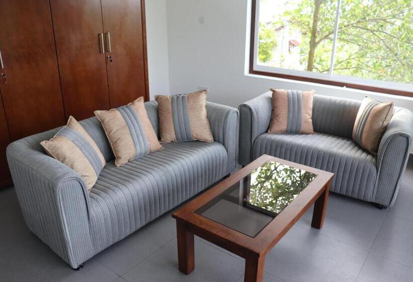 סטודיו דלוקס, Paradiso